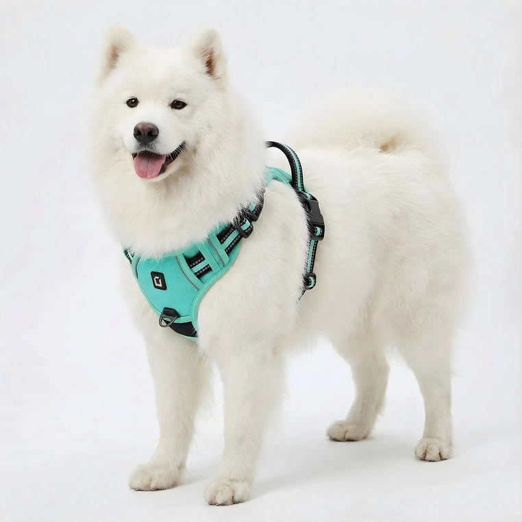 WagBalance™ SecureFit No-Pull Harness – Built for Comfort & Control