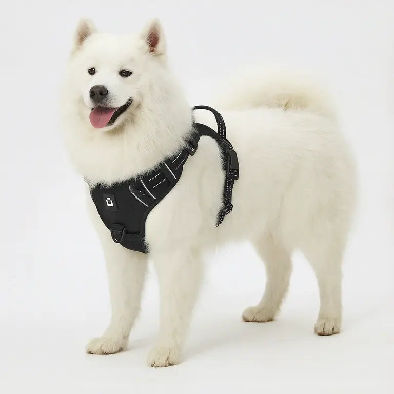 WagBalance™ SecureFit No-Pull Harness – Built for Comfort & Control