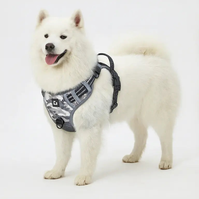 WagBalance™ SecureFit No-Pull Harness – Built for Comfort & Control