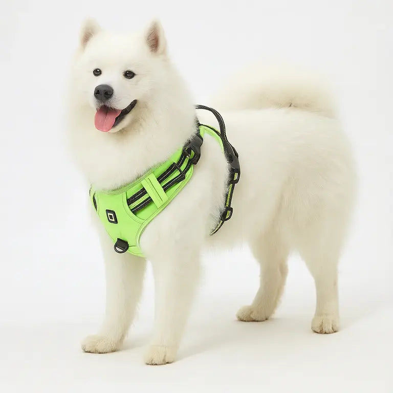 WagBalance™ SecureFit No-Pull Harness – Built for Comfort & Control
