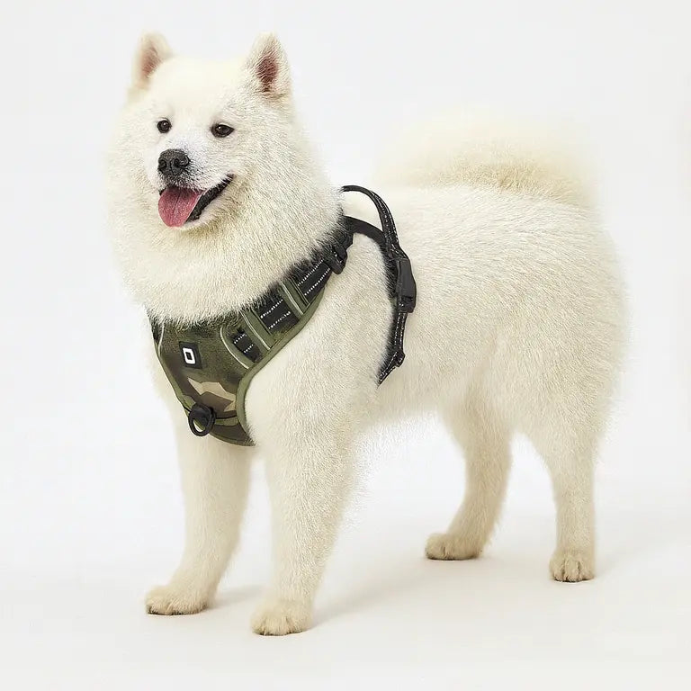 WagBalance™ SecureFit No-Pull Harness – Built for Comfort & Control