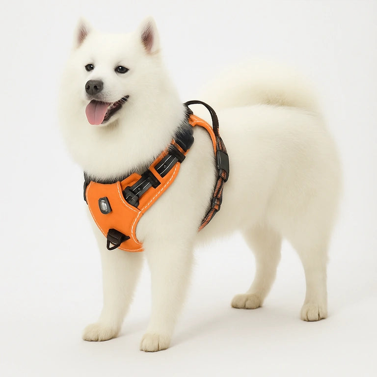 WagBalance™ SecureFit No-Pull Harness – Built for Comfort & Control